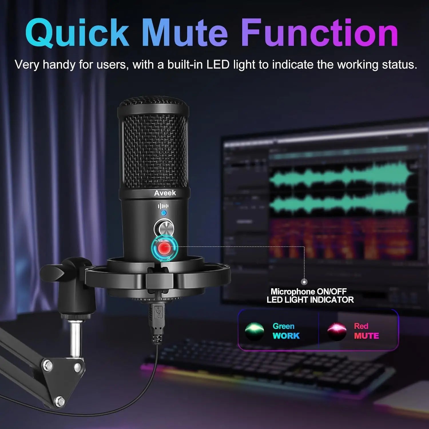 Aveek BM-66 USB Condenser Microphone Kit