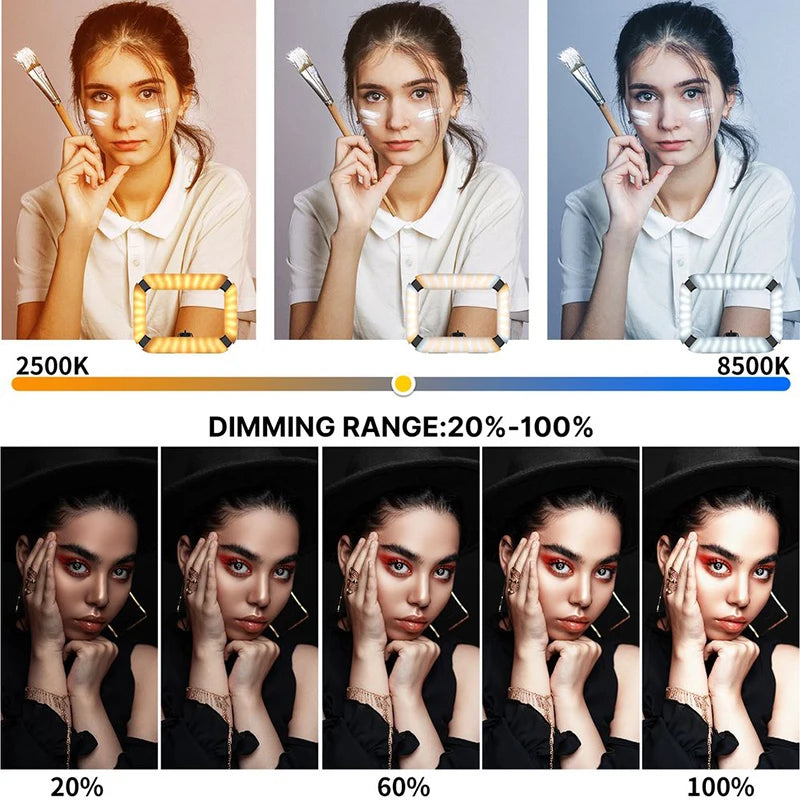 Ulanzi U200 2-in-1 Smartphone Video Rig LED Ring Light