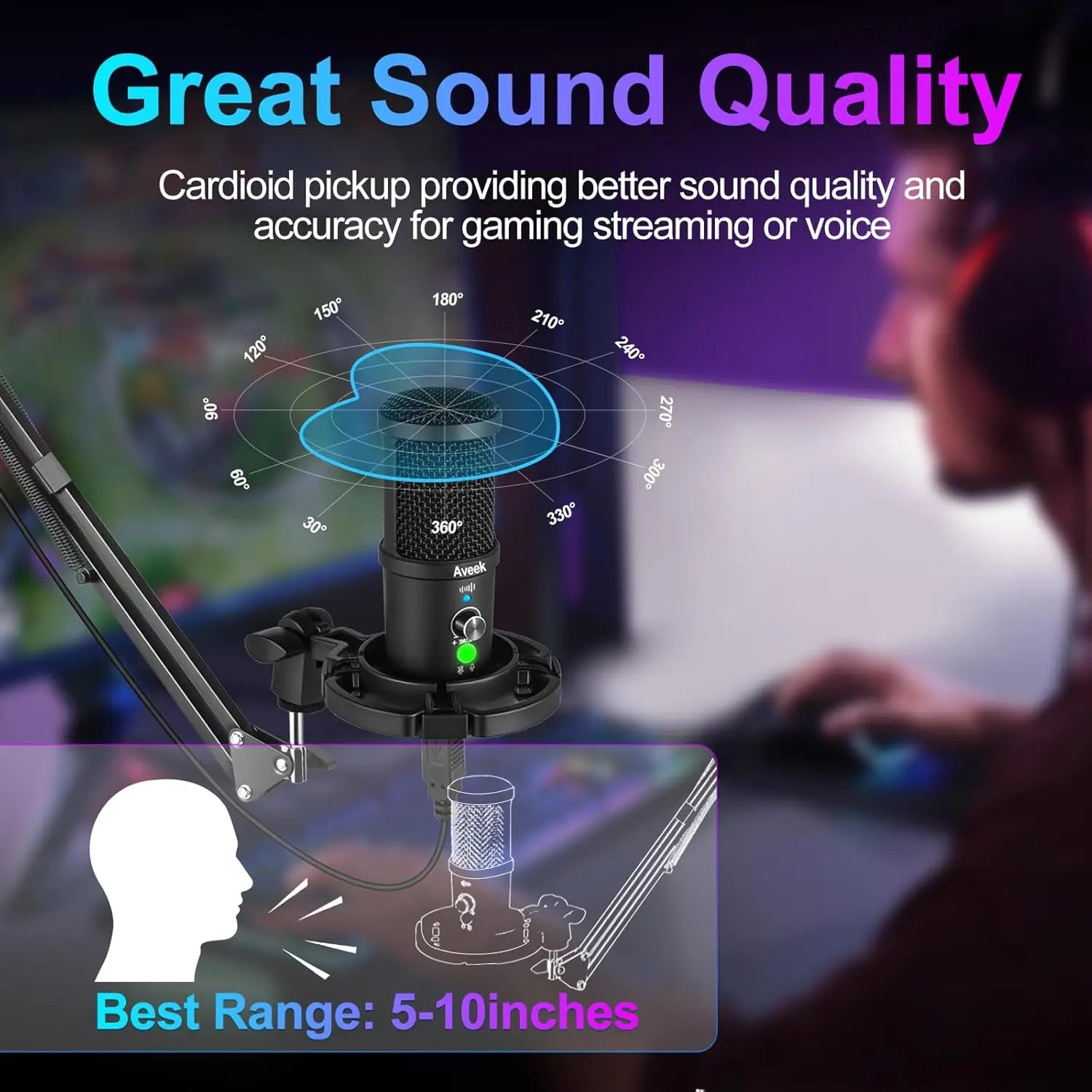 Aveek BM-66 USB Condenser Microphone Kit